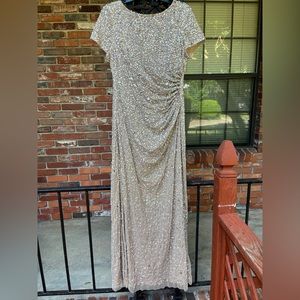 Adrianna Papell Boat Neck Short Sleeve Embellished Zipper Back Mesh Dress